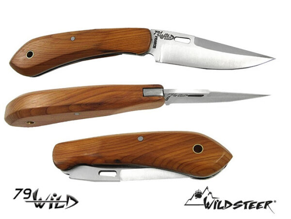 Wildsteer Wild 79 Taittoveitsi