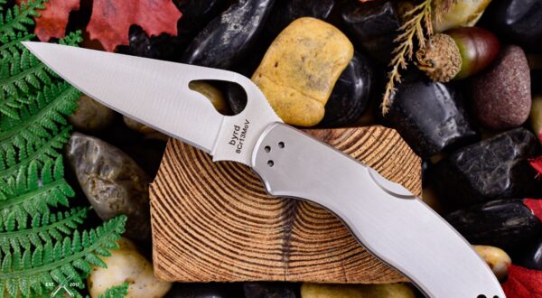 Spyderco HARRIER™ 2 STAINLESS BY012 Taittoveitsi - Image 5